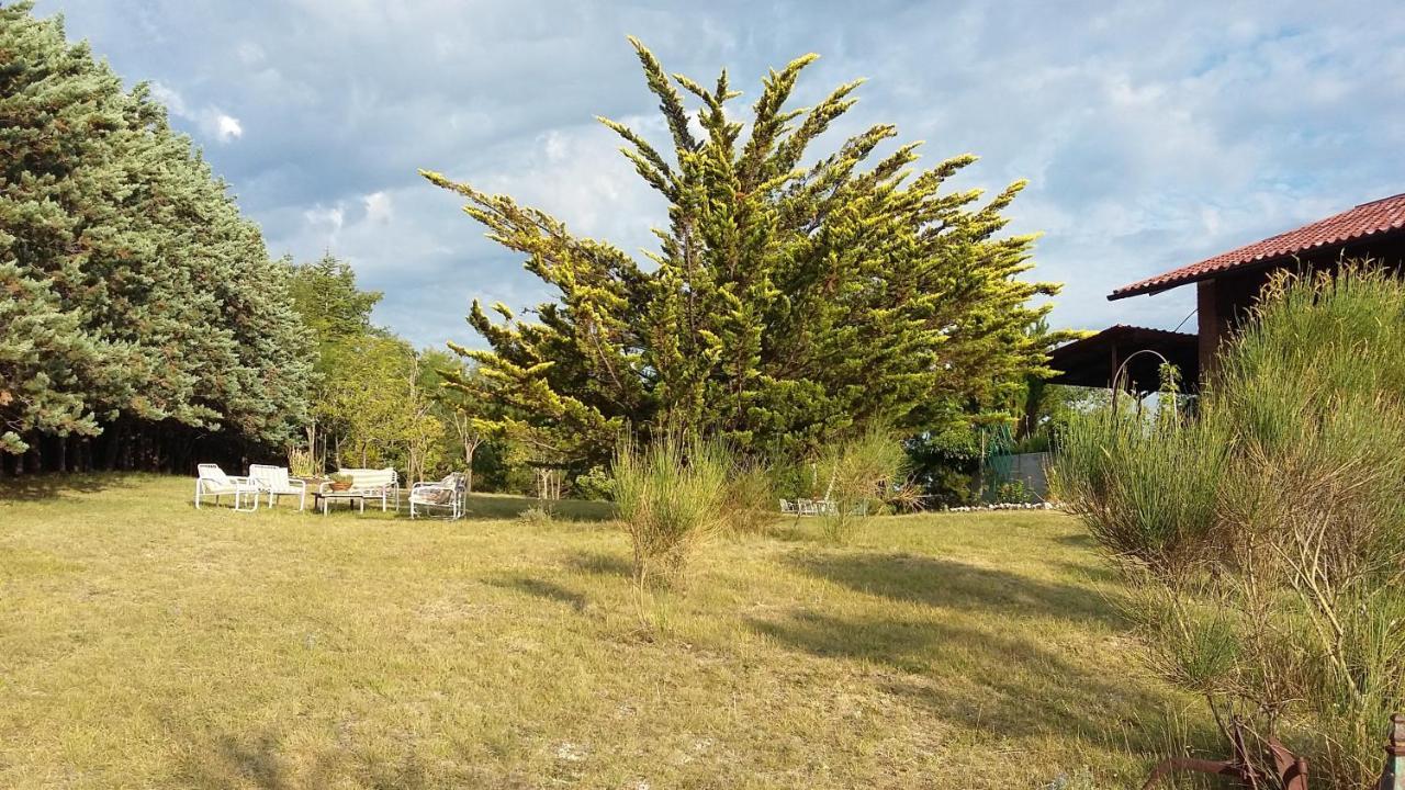 Chalet Ricciano 폴리뇨 외부 사진