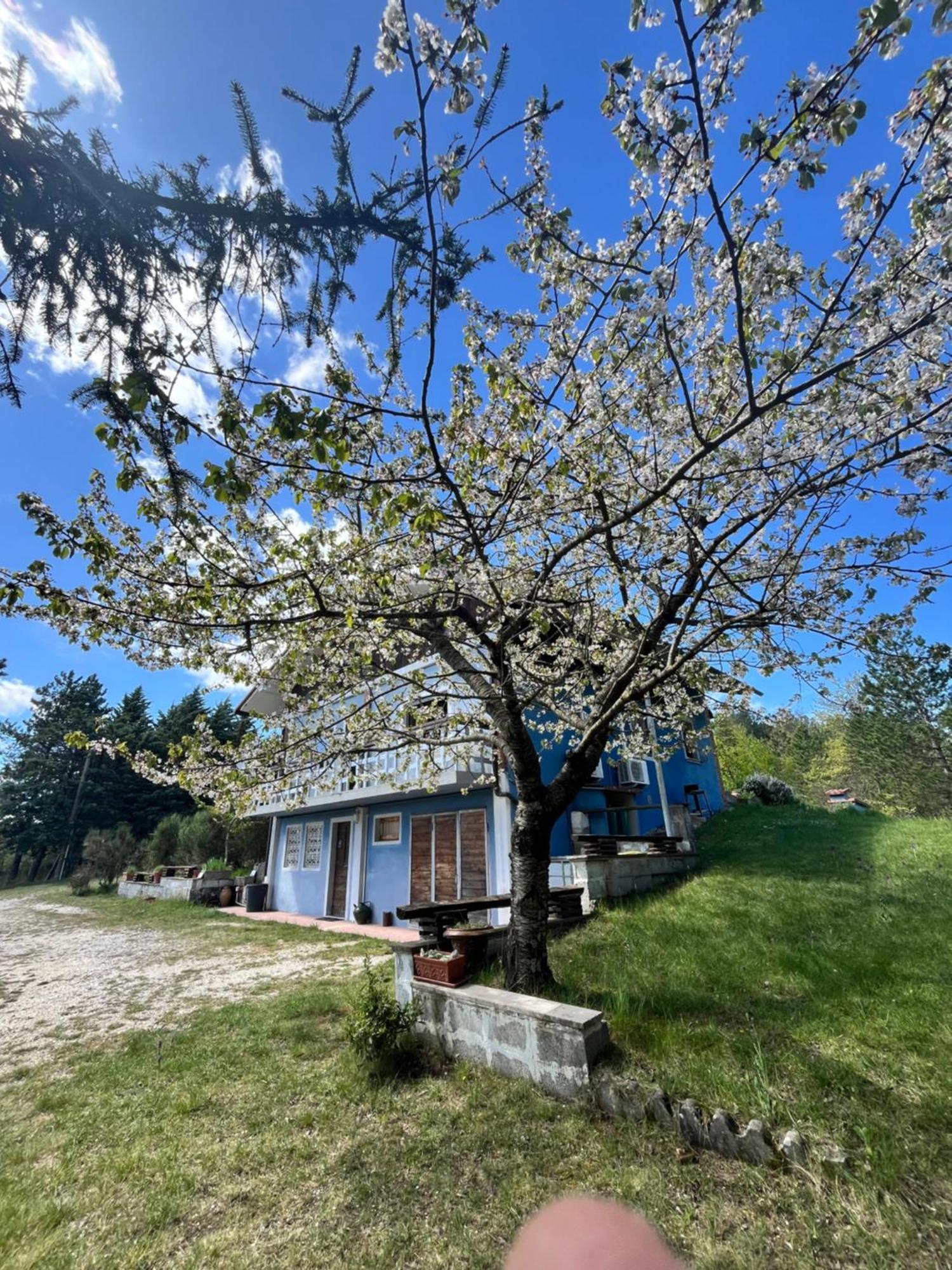 Chalet Ricciano 폴리뇨 외부 사진