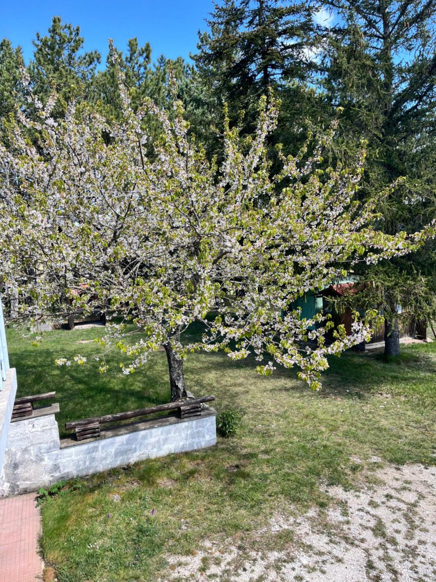 Chalet Ricciano 폴리뇨 외부 사진